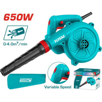 Turquoise 650W heat gun with variable speed, included nozzle and storage case; shows packaging box on right.